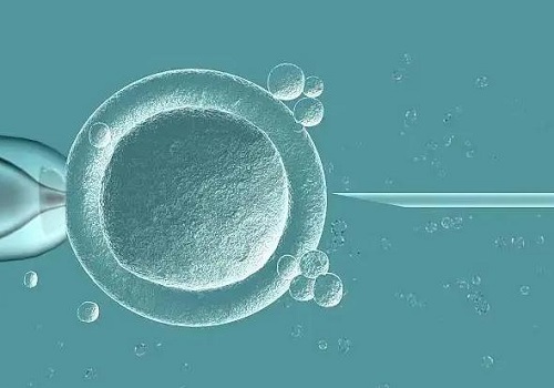什么样的胚胎适合养囊？胚胎质量不好养囊会成功吗？
